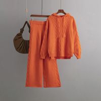Täglich Frau Lässig Einfacher Stil Einfarbig Angola Polyacrylnitril-faser Hosen-sets Hosen-sets sku image 8