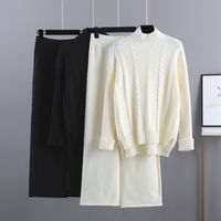 Täglich Frau Lässig Einfacher Stil Einfarbig Angola Viskose Faser Hosen-sets Hosen-sets main image 3