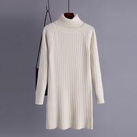Women's Sweater Dress Simple Style Turtleneck Long Sleeve Solid Color Knee-length Daily main image 3