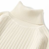 Women's Sweater Dress Simple Style Turtleneck Long Sleeve Solid Color Knee-length Daily main image 4
