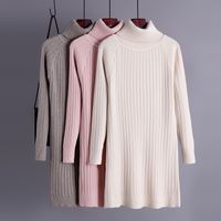 Women's Sweater Dress Simple Style Turtleneck Long Sleeve Solid Color Knee-length Daily main image 1