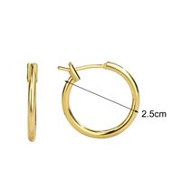 1 Pair Simple Style Classic Style Commute Solid Color Plating Copper 18k Gold Plated Hoop Earrings main image 8