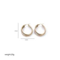 1 Par Estilo Vintage Estilo Simple Irregular Circulo Enchapado Acero Inoxidable Chapados en oro de 18k Aretes sku image 6