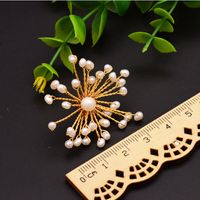 1 Pair Retro Round Plating Inlay Freshwater Pearl Brass Pearl 18k Gold Plated Ear Studs main image 3