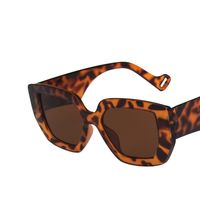 European And American Trend Box Wide-leg Sunglasses  New Color Matching Sunglasses Female sku image 6