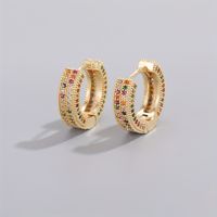 1 Pair Elegant Circle Plating Inlay Copper Zircon Gold Plated Hoop Earrings sku image 5