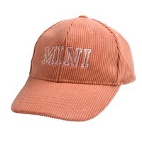 Children Unisex Women's Casual Basic Letter Embroidery Hollow Out Curved Eaves Baseball Cap sku image 24