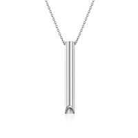 Simple Style Classic Style Solid Color 304 Stainless Steel Plating 18K Gold Plated Unisex Pendant Necklace sku image 1
