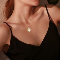 Titanium Steel Zircon Clavicle Chain Personality Shell Xingx Pendant Niche Gold Necklace S-shaped Necklace Ins Style Twin sku image 3