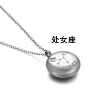 Simple Twelve Constellation Titanium Steel Diamond Short Necklace Wholesale Nihaojewelry sku image 7