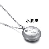 Simple Twelve Constellation Titanium Steel Diamond Short Necklace Wholesale Nihaojewelry sku image 10