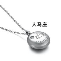 Simple Twelve Constellation Titanium Steel Diamond Short Necklace Wholesale Nihaojewelry sku image 2