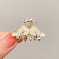 Simple Style Leaves Alloy Inlay Pearl Zircon Hair Claws sku image 41