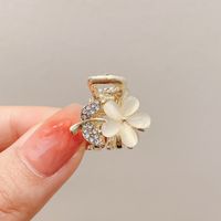 Simple Style Leaves Alloy Inlay Pearl Zircon Hair Claws sku image 38