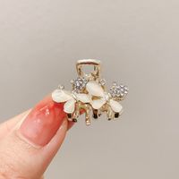 Simple Style Leaves Alloy Inlay Pearl Zircon Hair Claws sku image 37