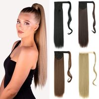 Women's Elegant Street High Temperature Wire Ponytail Wigs main image 1