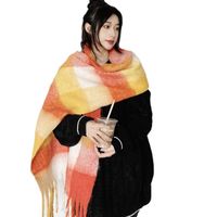 Women's Classic Style Streetwear Color Block Polyester Scarf main image 4