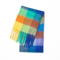 Women's Classic Style Streetwear Color Block Polyester Scarf sku image 3