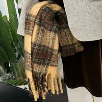 Women's Casual Basic Plaid Polyester Scarf main image 1