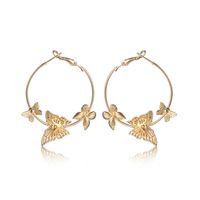 1 Pair Simple Style Classic Style Butterfly Hollow Out Iron Earrings sku image 1
