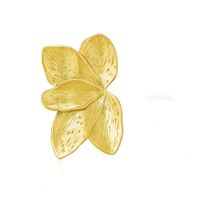 1 Pair Simple Style Classic Style Flower Plating 304 Stainless Steel 14K Gold Plated Ear Studs main image 3