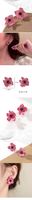 1 Paar Süss Einfacher Stil Blume Inlay Ferrolegierung Strasssteine Ohrstecker main image 2