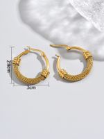 1 Pair Classic Style Roman Style Solid Color Plating Titanium Steel 18k Gold Plated Gold Plated Hoop Earrings main image 3