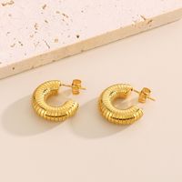 1 Pair Vintage Style Geometric Heart Shape Solid Color Plating Titanium Steel 18K Gold Plated Hoop Earrings main image 4