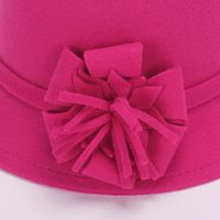 Women's Elegant Basic Simple Style Solid Color Flowers Wide Eaves Fedora Hat main image 2