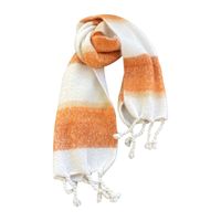 Women's Basic Streetwear Color Block Polyester Scarf main image 3