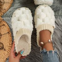 Women's Casual Solid Color Round Toe Plush Slippers main image 1