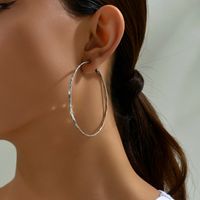 Wholesale Jewelry Retro Streetwear Solid Color Ferroalloy Hoop Earrings main image 7