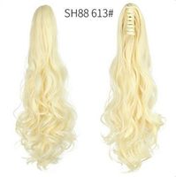 Women's Elegant Party Street High Temperature Wire Ponytail Wig Clips sku image 13