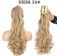 Women's Elegant Party Street High Temperature Wire Ponytail Wig Clips sku image 20