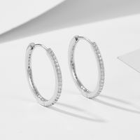 1 Pair Ig Style Solid Color Plating Inlay Sterling Silver Zircon 14k Gold Plated Rhodium Plated Hoop Earrings main image 9
