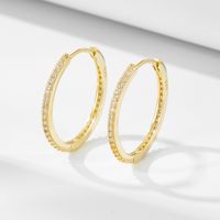 1 Pair Ig Style Solid Color Plating Inlay Sterling Silver Zircon 14k Gold Plated Rhodium Plated Hoop Earrings main image 1