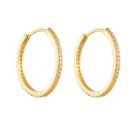 1 Pair Ig Style Solid Color Plating Inlay Sterling Silver Zircon 14k Gold Plated Rhodium Plated Hoop Earrings main image 7