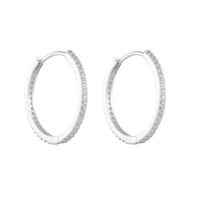 1 Pair Ig Style Solid Color Plating Inlay Sterling Silver Zircon 14k Gold Plated Rhodium Plated Hoop Earrings main image 5