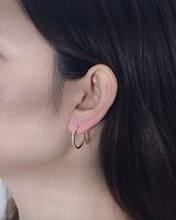 1 Pair Ig Style Solid Color Plating Inlay Sterling Silver Zircon 14k Gold Plated Rhodium Plated Hoop Earrings main image 3