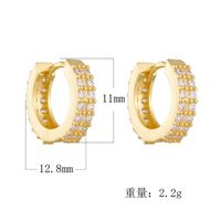 1 Pair Ig Style Solid Color Plating Inlay Sterling Silver Zircon 14k Gold Plated Rhodium Plated Earrings main image 4