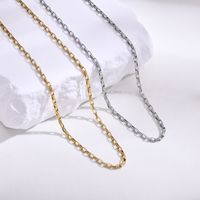 304 Stainless Steel Simple Style Plating Solid Color Necklace main image 1