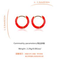 Fashion Geometric Alloy Plating Hoop Earrings 1 Pair main image 9