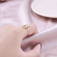 Simple Style Classic Style Color Block Octopus Stainless Steel Rings main image 4
