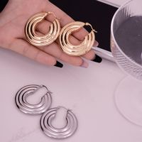 1 Pair IG Style Simple Style Geometric Plating 304 Stainless Steel Gold Plated Silver Plated Earrings main image 9