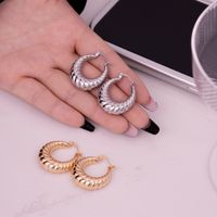 1 Pair IG Style Simple Style Geometric Plating 304 Stainless Steel Gold Plated Silver Plated Earrings main image 10