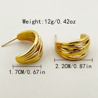 1 Pair Vacation Beach Simple Style C Shape Lines Plating 304 Stainless Steel 14K Gold Plated Ear Studs main image 8