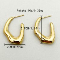 1 Pair Vacation Simple Style Streetwear Irregular Plating 304 Stainless Steel 14K Gold Plated Ear Studs main image 6