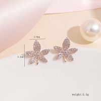 1 Pair Simple Style Shiny Maple Leaf Plating Inlay Alloy Rhinestones Ear Studs main image 5