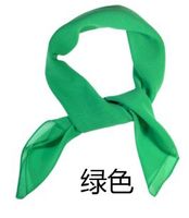Women's Simple Style Classic Style Solid Color Chiffon Silk Scarf sku image 12