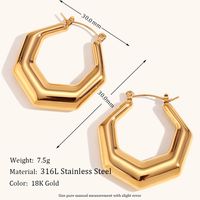 1 Pair Basic Simple Style Classic Style Geometric Plating Stainless Steel 18k Gold Plated Earrings main image 3